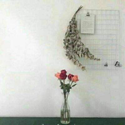 萌宠弹射手机版